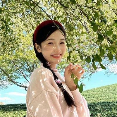 小姐与流氓2:狗儿逃家记